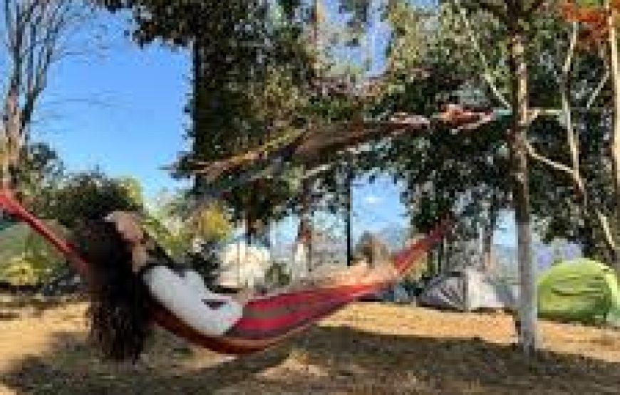 Camp BagpackGo Experience – Adventure, Music, and Fun!