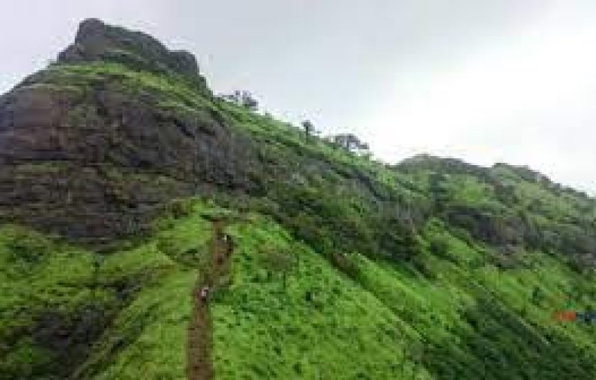 Kalavantin Durg One Day Trek