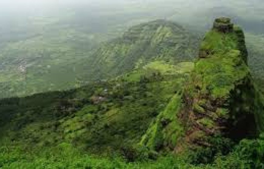 Kalavantin Durg One Day Trek