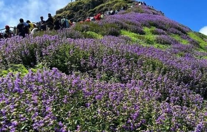 Ratangad Monsoon Special Trek
