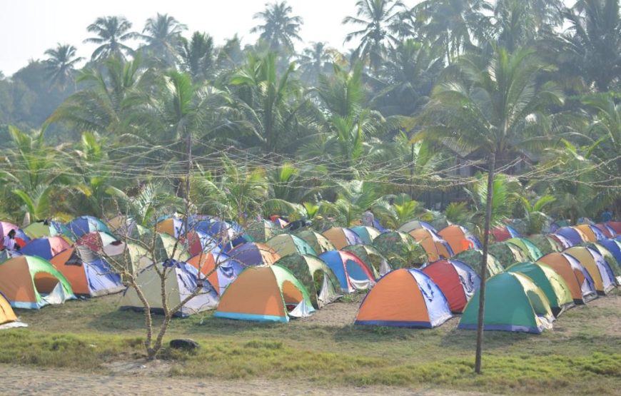 Alibaug Beach Camping