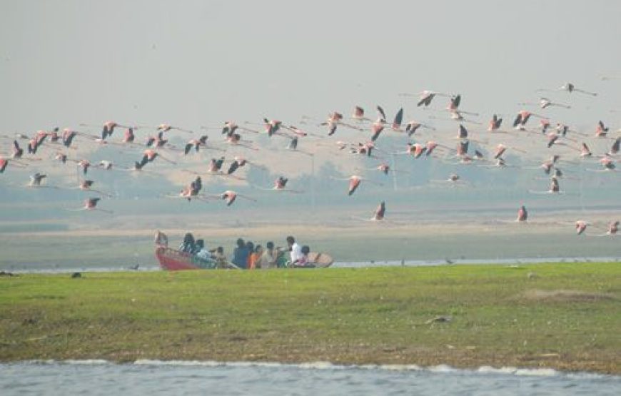 Bhigwan Bird Watching & Bhuleshwar Temple
