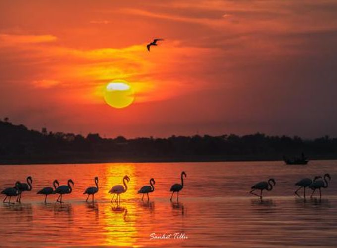 Bhigwan Bird Watching Trip