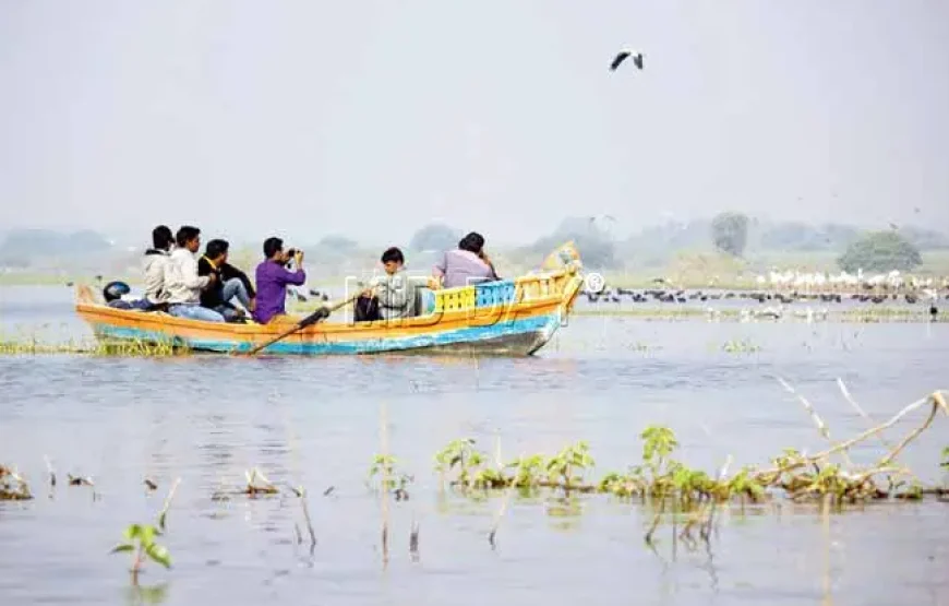 Bhigwan Bird Watching Trip