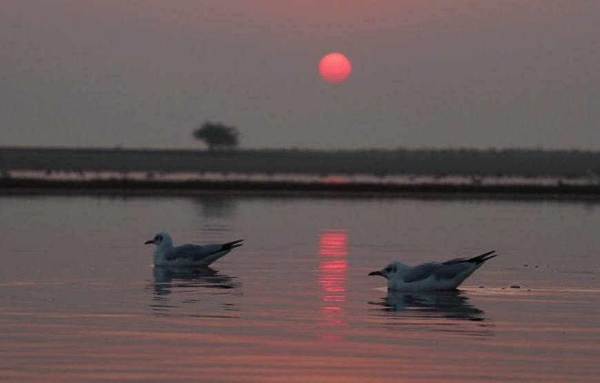 Bhigwan Bird Watching & Bhuleshwar Temple