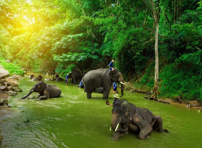 Coorg Chikmagaluru Mysore Backpacking