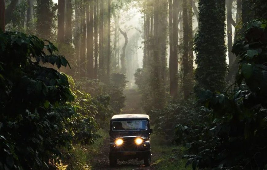 Coorg Backpacking Tour