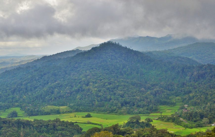 Coorg Backpacking Tour