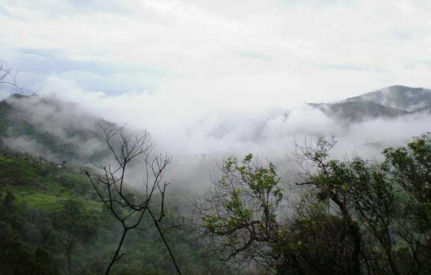 Coorg Backpacking Tour