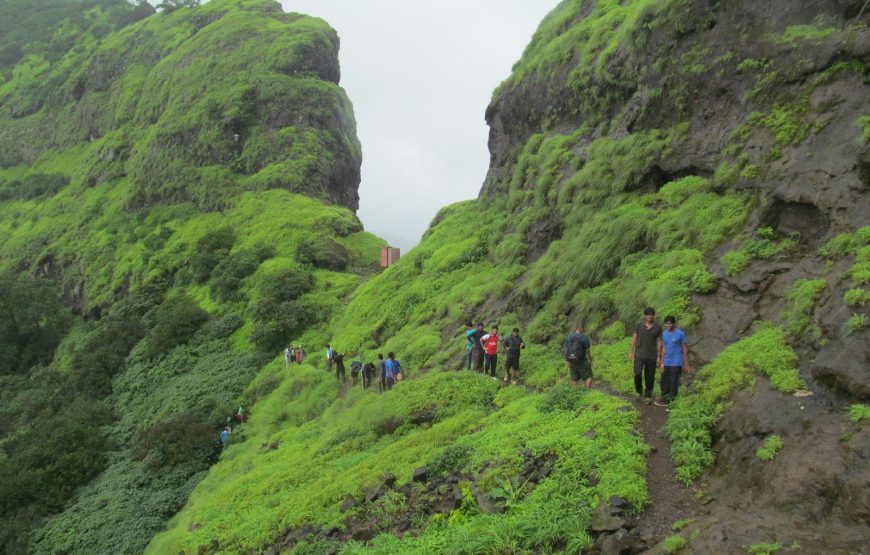 Ghangad & Tailbaila Flowers Trek