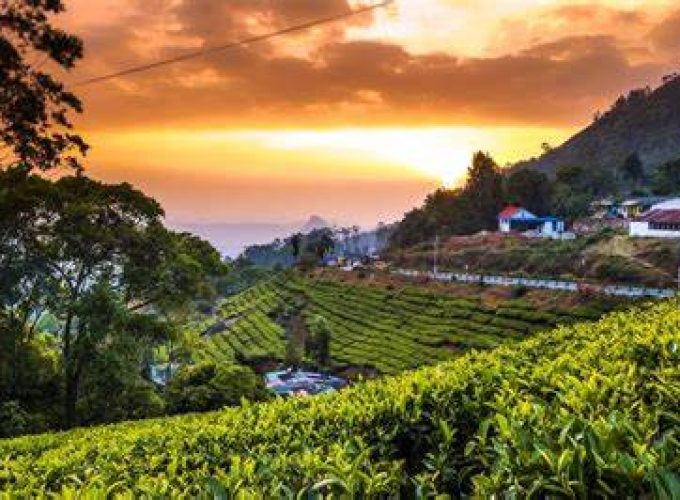 Kerala Backpacking Road Trip