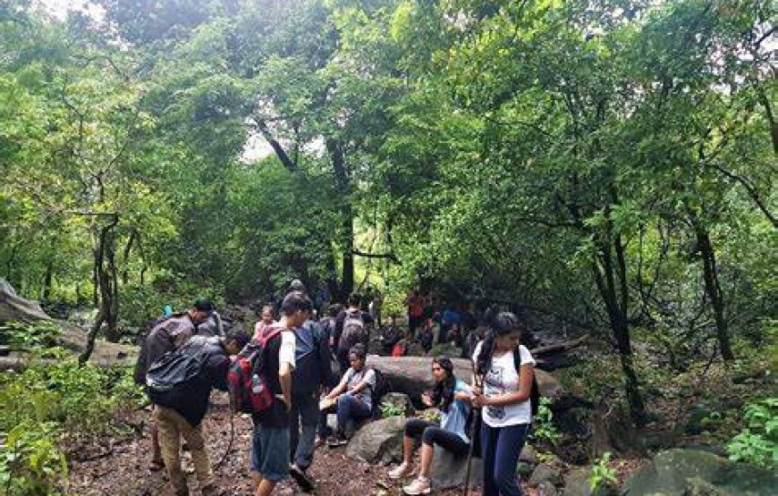 Kataldhar Waterfall Jungle Trek