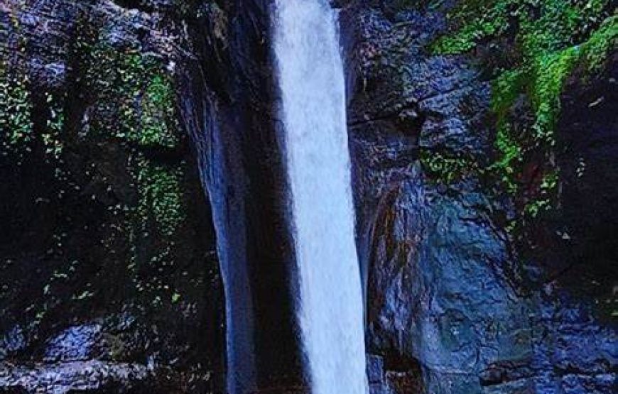 Milkybar Waterfall Trek & Plus Valley