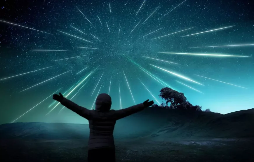 Geminid Meteor Shower