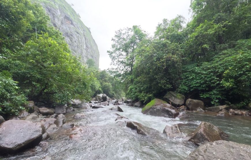 Milkybar Waterfall Trek & Plus Valley