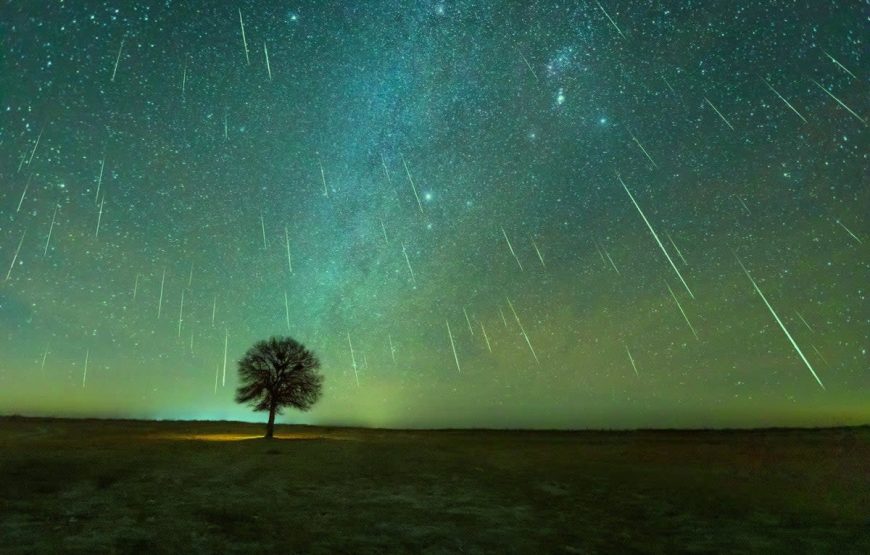 Geminid Meteor Shower