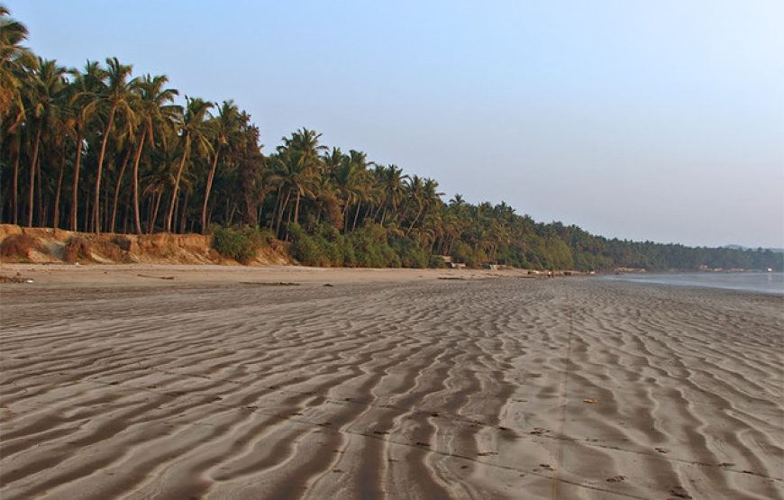 Nandgao Beach Camping