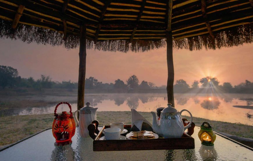 Pench National Park Jungle Safari