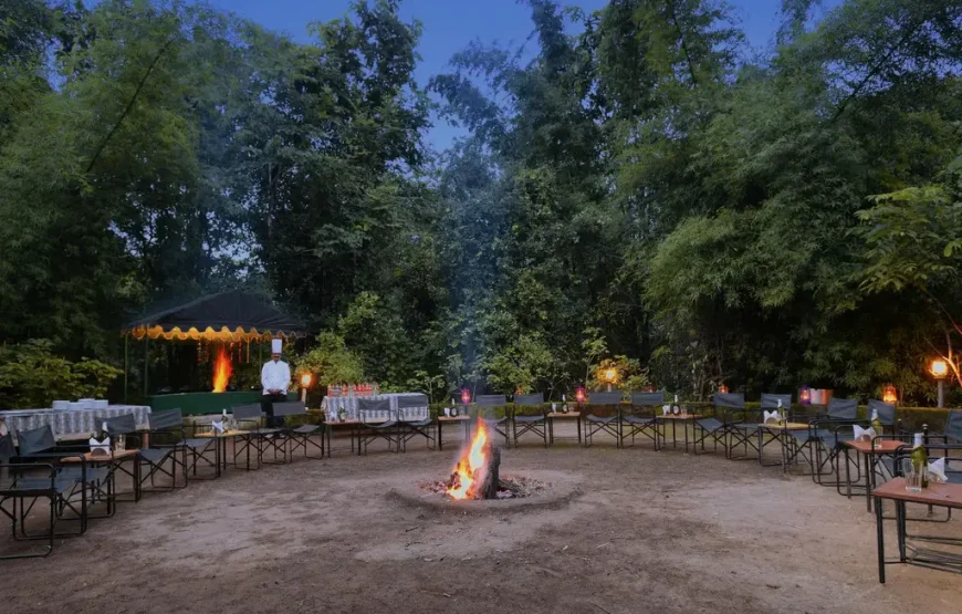 Pench National Park Jungle Safari