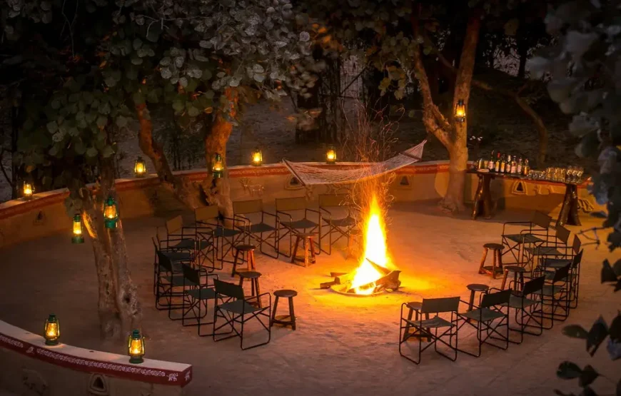 Pench National Park Jungle Safari