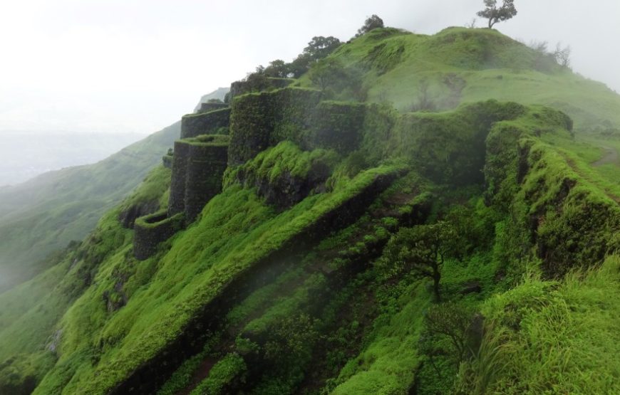 Rohida Fort Plus Resort Outing