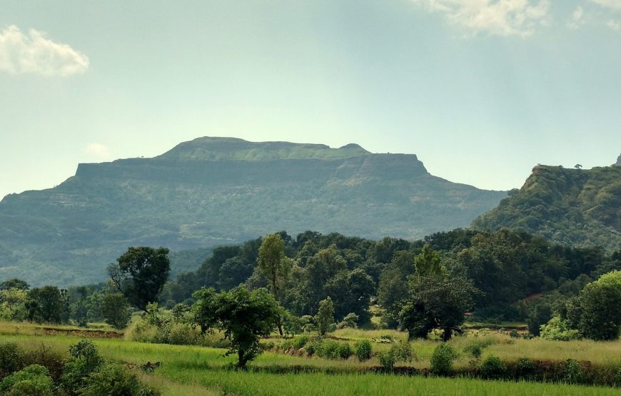 Ratangad Wildflowers Trek
