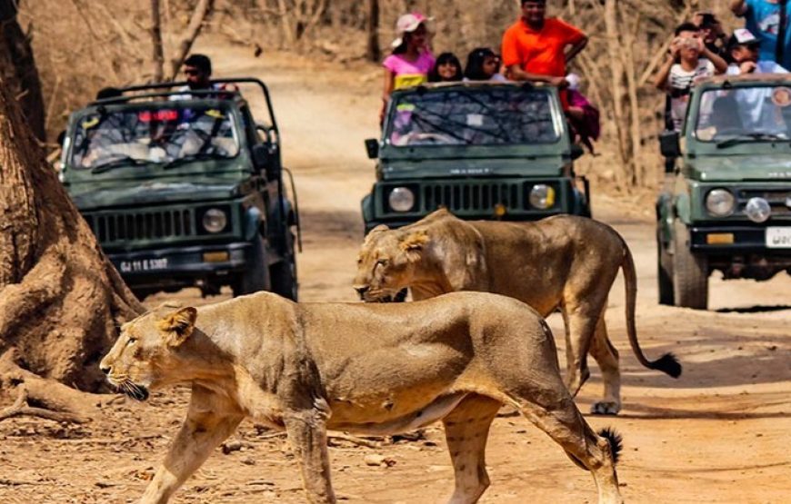 Somnath Backpacking Trip