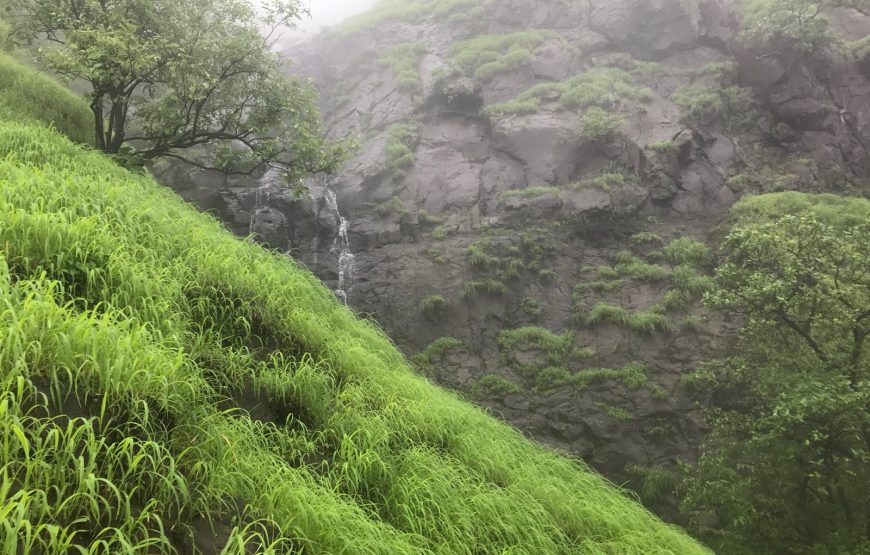 Savalya Ghat Trek
