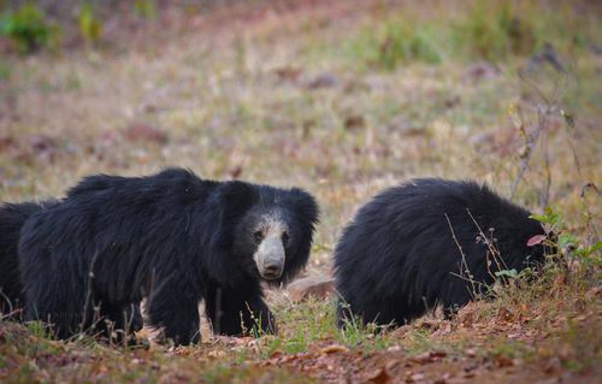 Vietnam customize tour