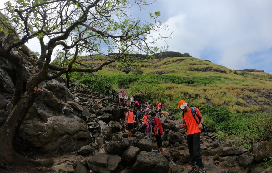 Visapur Night Trek and Camping