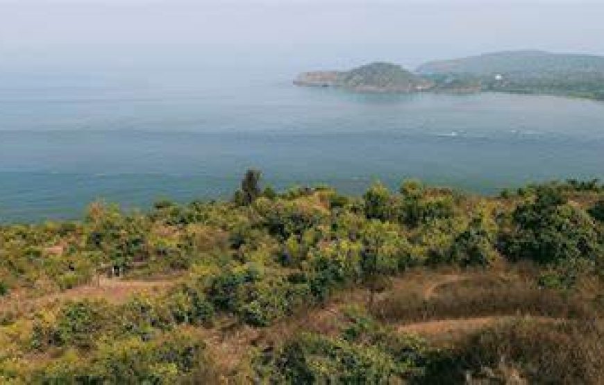 Velas, Bankot Fort Camping & Harihareshwar