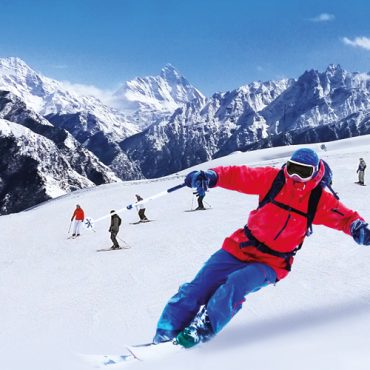 Auli