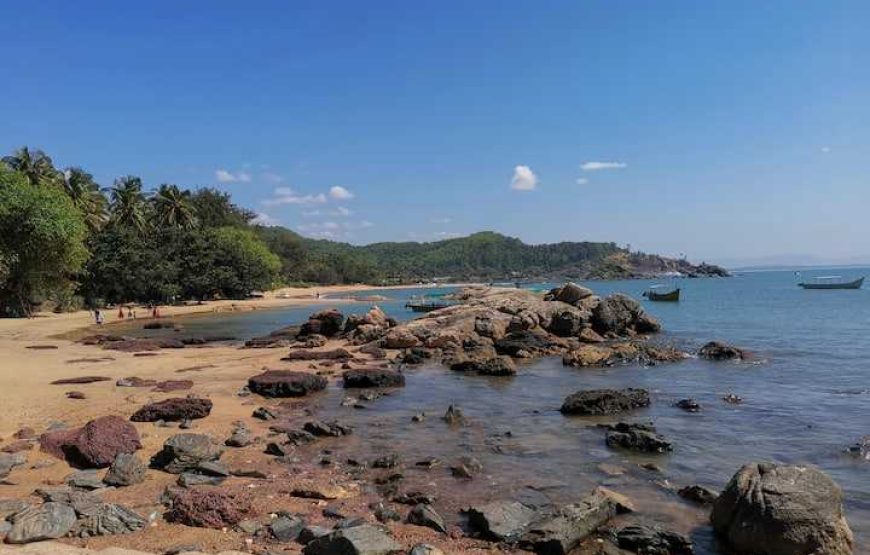 Dolphin Adventures Gokarna Cruise Boat Rides & Watersports Package