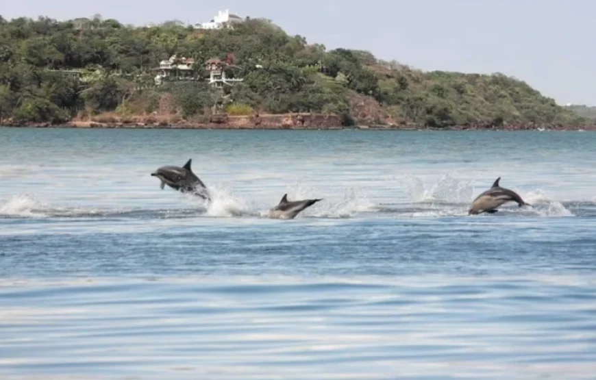 Dolphin Adventures Gokarna Cruise Boat Rides & Watersports Package