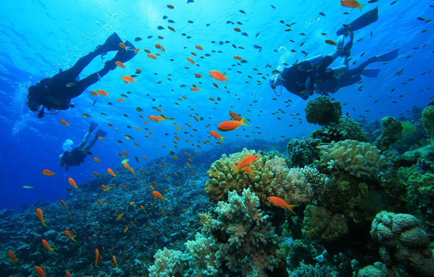 🏊 Deepsea Swimming