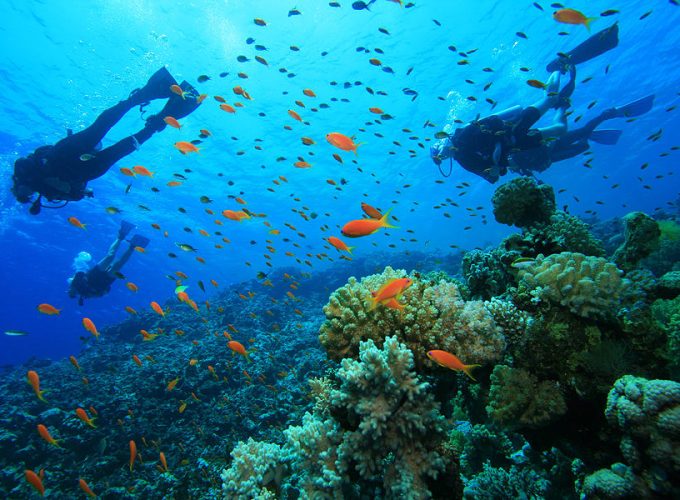 🏊 Deepsea Swimming