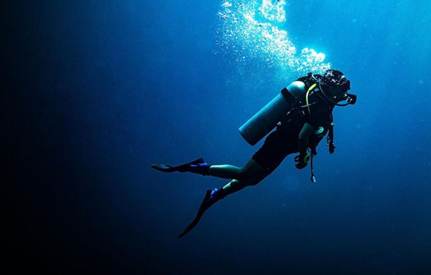🏊 Deepsea Swimming