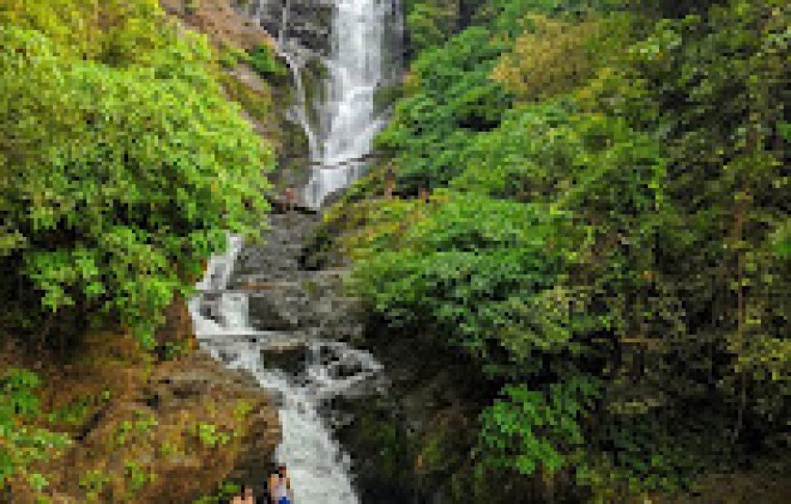 💧 Hidden Waterfalls Trip