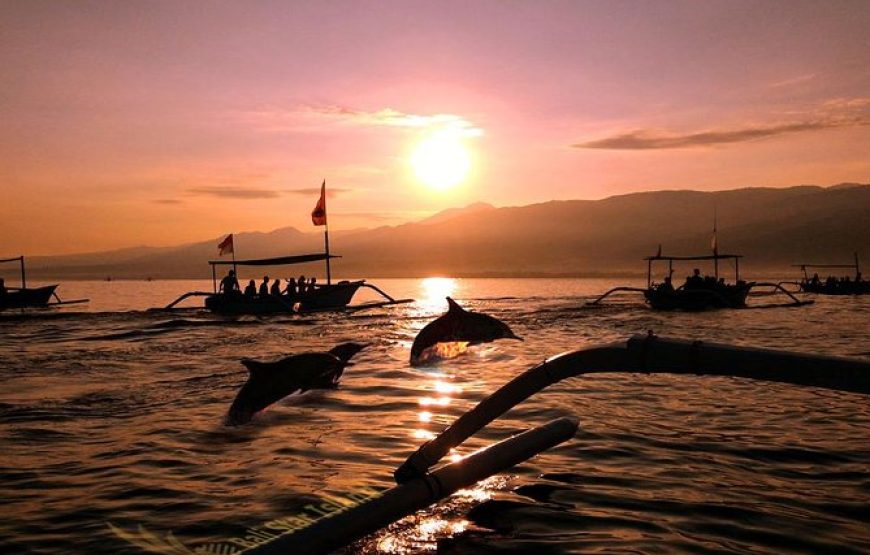 🐬 Delta & Dolphin Watch