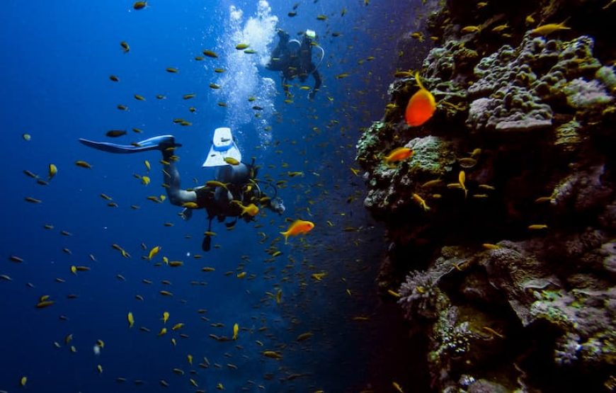 🤿 Snorkeling