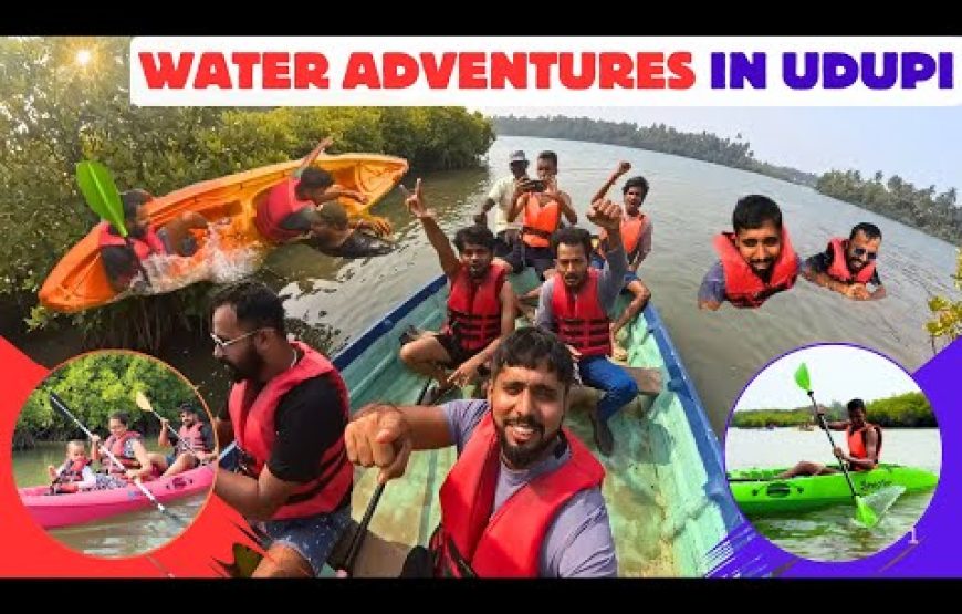 🌿 Mangrove Jungle Tour