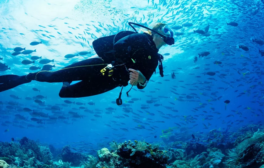 🤿 Snorkeling