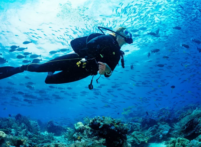 🤿 Snorkeling